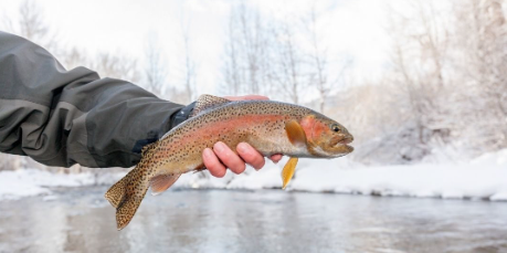 Chasing Winter Wonders: Best Fishing Activities in the DMV Area